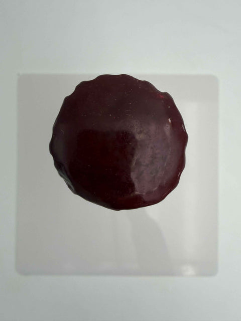 Champagne Bricout & Koch, Charles Koch Brut 1979