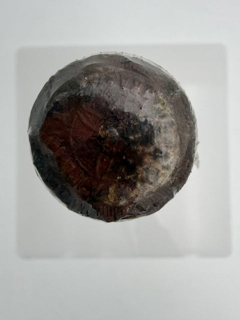 Vallana Antonio & Flli, Campi Ravdii, Vino di Geco Bianco 1961 Vecchia Riserva