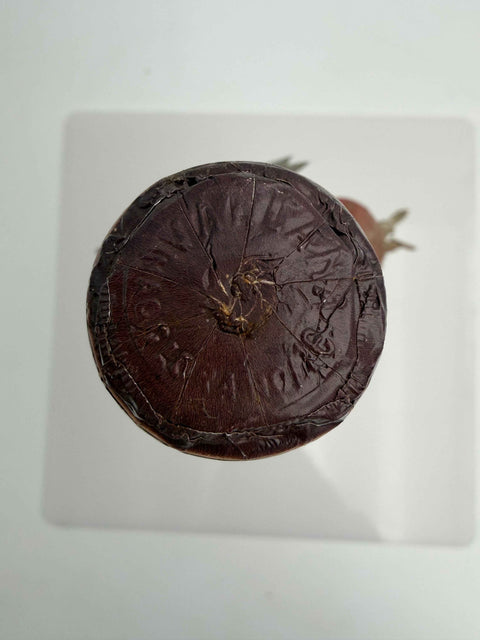 Vino Spanna, Antonio Vallana e Figlio, Campi Ravdii, 1961, Gar