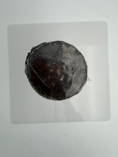 Vallana Antonio & Flli, Campi Ravdii, Vino Boca 1973