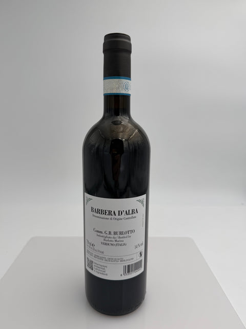 Comm. G.B. Burlotto, Barbera D'Alba 2024