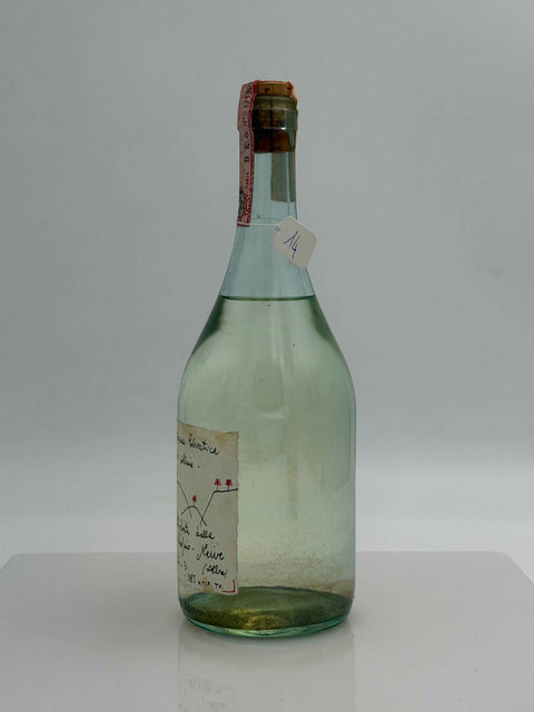 Grappa Romano Levi, Grappa della donna selvatica che cavalca le colline, 1990, 14