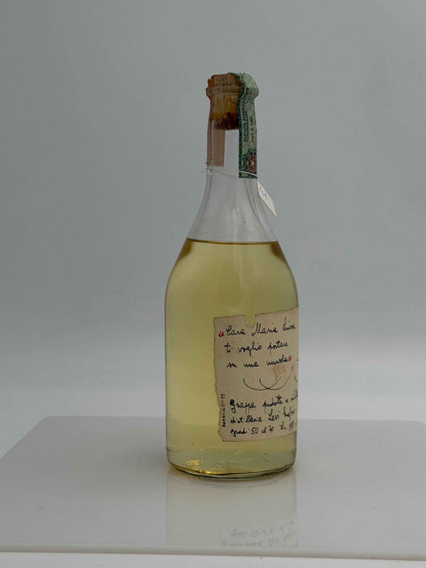 Grappa Romano Levi, cara Maria Luisa ti voglio portare su una nuvola, 1999, 41