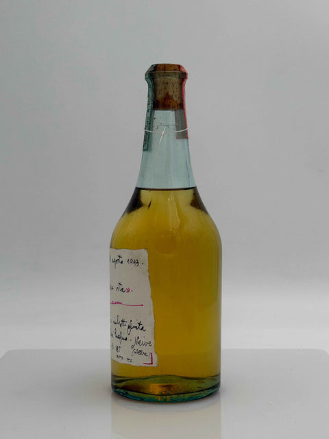 Grappa Romano Levi, cara nona io voglio cambiare vita, 1993, 47