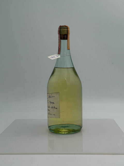 Grappa Romano Levi, Ciascuno di noi per Franca e Francesco Rebello, 1991, 51