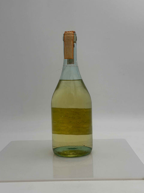 Grappa Romano Levi, Ciascuno di noi per Franca e Francesco Rebello, 1991, 51