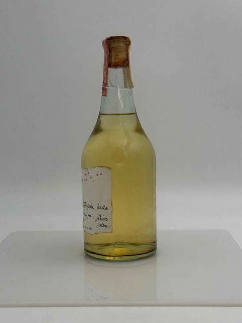 Grappa Romano Levi, gia i pastori, 1992, 54