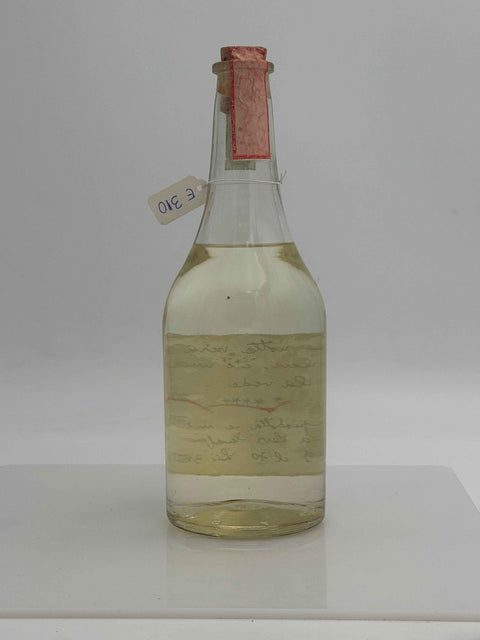 Grappa Romano Levi, in una notte nera, sotto una pietra nera c'e una formica nera, e Dio la vede, 1994, 59