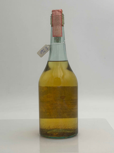 Grappa Romano Levi, A Mario forelli Gediatra, 2000, 70