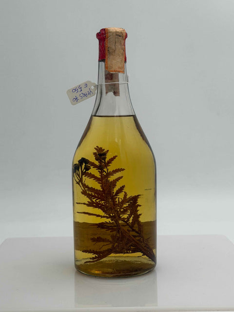 Grappa Romano Levi, grappa de una bella donna selvatica umma con erbe, anni 70s, 77