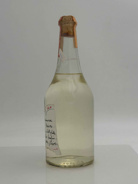 Grappa Romano Levi, Maria Carmelina, Promossa Evviva, 1996, 81