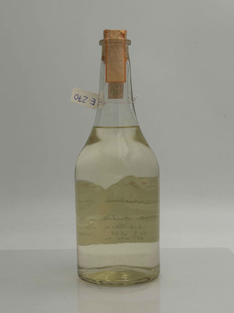 Grappa Romano Levi, Maria Carmelina, Promossa Evviva, 1996, 81