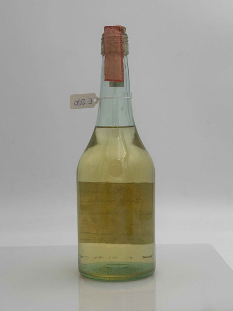 Grappa Romano Levi, Fabrizio - Stefania, Jeolo - Emanuela, 1998, 95
