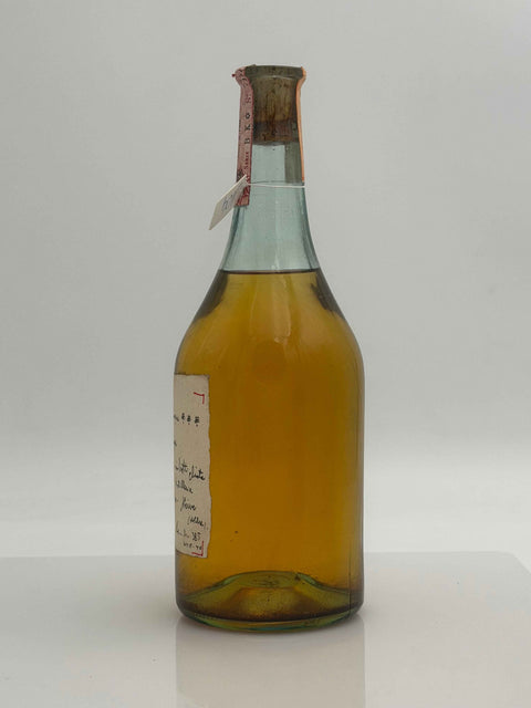 Grappa Romano Levi, Tibi Quoque, 1983, 104
