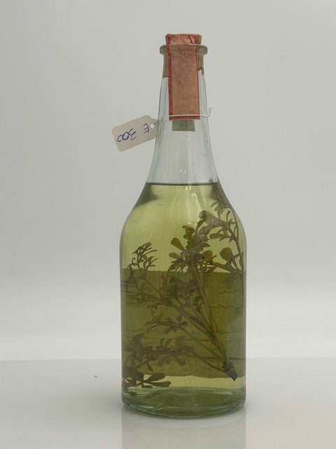 Grappa Romano Levi, a Giovanni e Silvana, Auguri per i vent'anni da Emanuela e Federica, 1994, 111