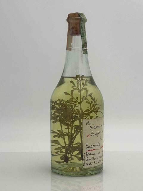 Grappa Romano Levi, a Giovanni e Silvana, Auguri per i vent'anni da Emanuela e Federica, 1994, 111