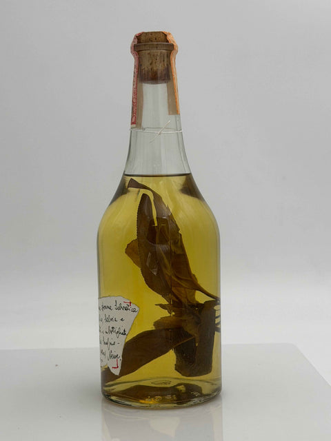 Grappa Romano Levi, Grappa de una donna selvatica umma con basilico, salvia e limone, 1995, 113