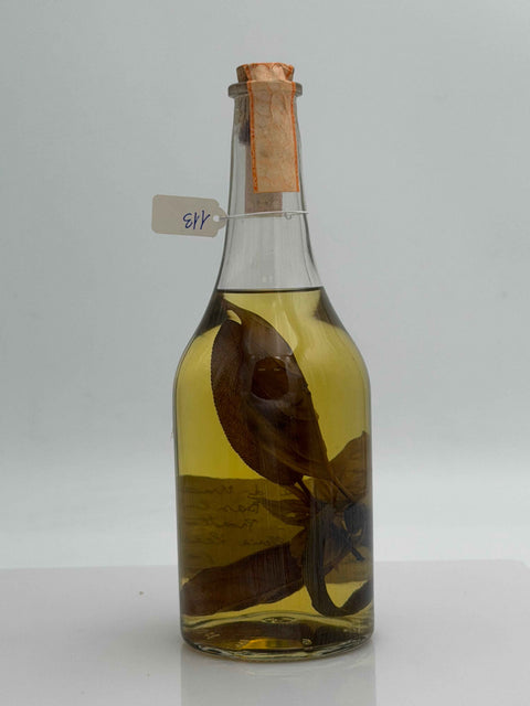 Grappa Romano Levi, Grappa de una donna selvatica umma con basilico, salvia e limone, 1995, 113