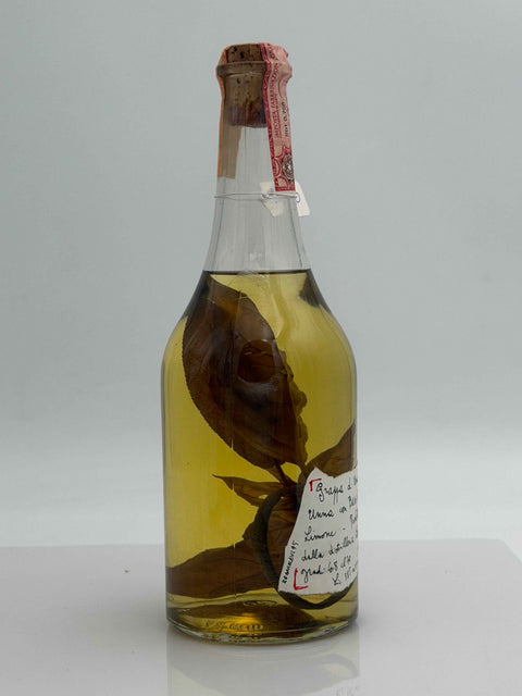 Grappa Romano Levi, Grappa de una donna selvatica umma con basilico, salvia e limone, 1995, 113