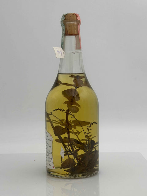 Grappa Romano Levi, Grappa de una donna selvatica con limoncina, salvia, menta e bonsai, con ruta e limone, 1997, 114