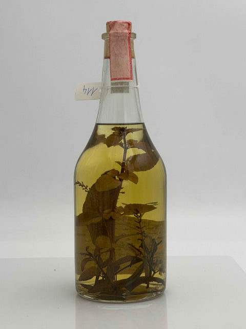 Grappa Romano Levi, Grappa de una donna selvatica con limoncina, salvia, menta e bonsai, con ruta e limone, 1997, 114
