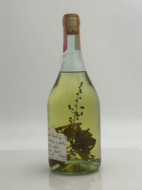 Grappa Romano Levi, Grappa di una donna selvatica umma con estra  assenzio e menta , 1992, 116