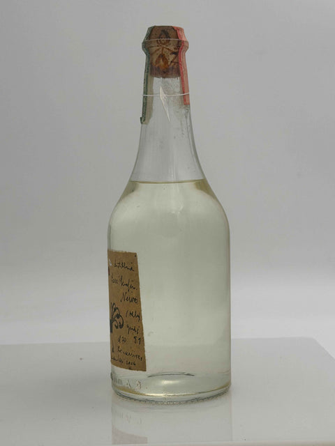 Grappa Romano Levi, E'posibile, 2004, 117