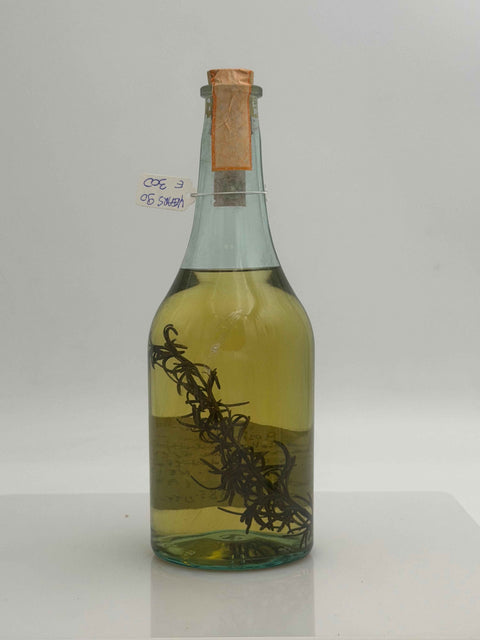 Grappa Romano Levi, Grappa con Rosmarino per una donna selvatica 1996, 131