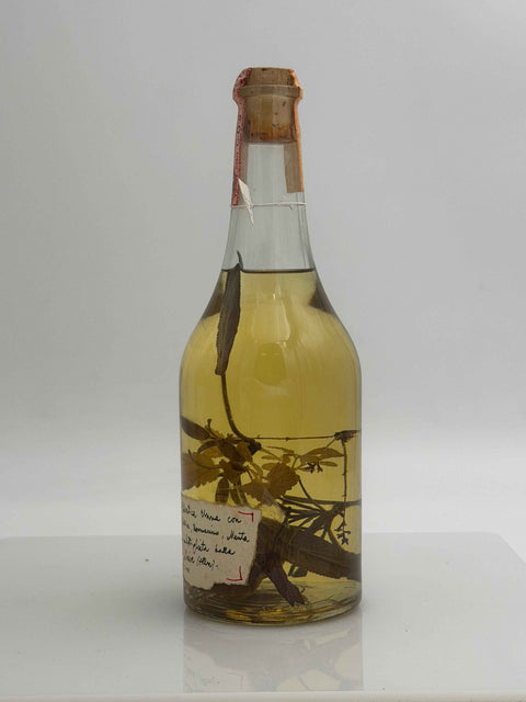 Grappa Romano Levi, Grappe di una donna selvatica, Salvia Limonacia 1995, 132
