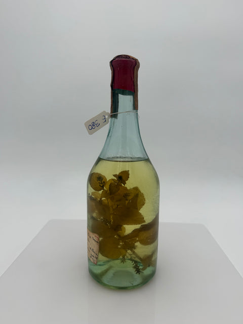 Grappa Romano Levi, grappa de una donna selvatica con erba limoncina e menta. 1983, 139