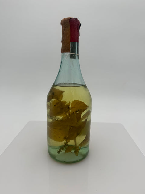 Grappa Romano Levi, grappa de una donna selvatica con erba limoncina e menta. 1983, 139