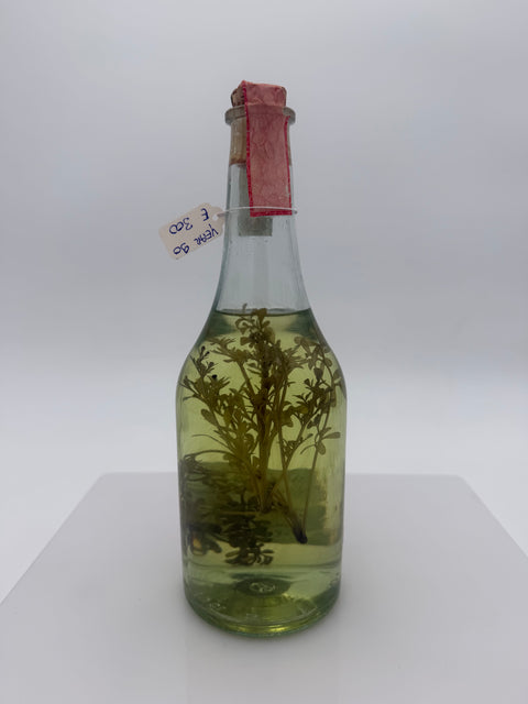 Grappa Romano Levi, grappa con erba Ruta, 1997, 144