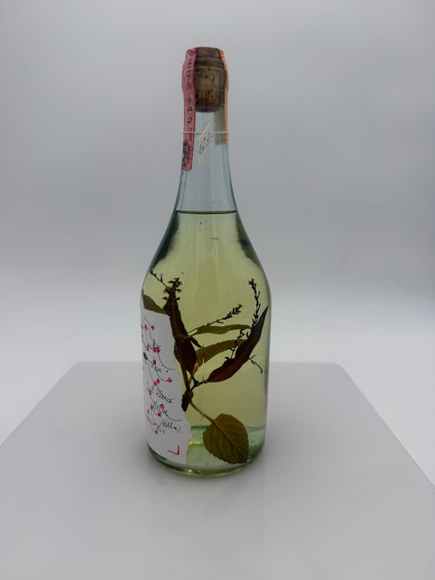 Grappa Romano Levi, 2006, 175