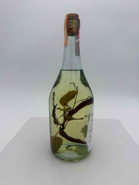 Grappa Romano Levi, 2006, 175