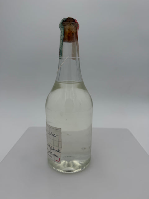 Grappa Romano Levi, Grazie che ci siamo incontrati, 2003, 217