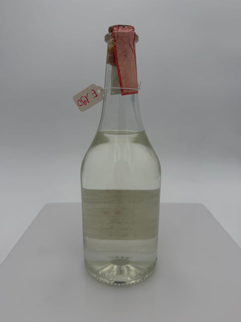 Grappa Romano Levi, Grazie che ci siamo incontrati, 2003, 217
