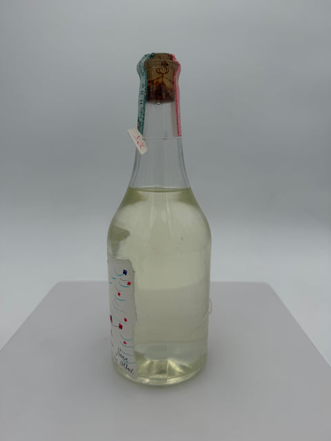 Grappa Romano Levi, Cara Maria ti voglio portare su una nuvola, 2005, 227