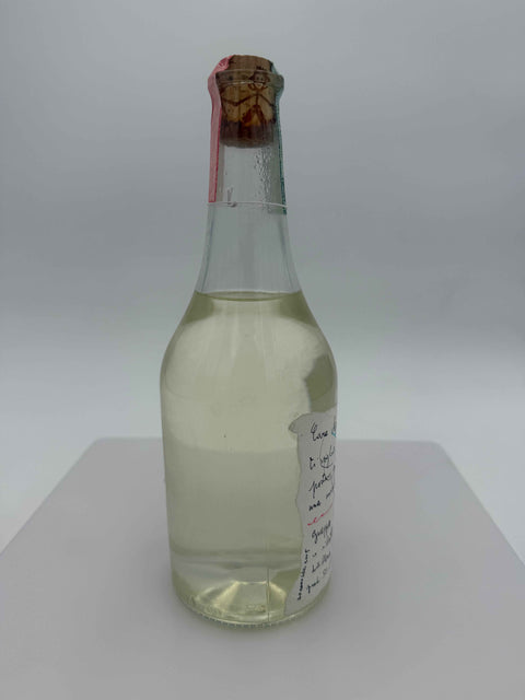 Grappa Romano Levi, Cara Maria ti voglio portare su una nuvola, 2005, 227