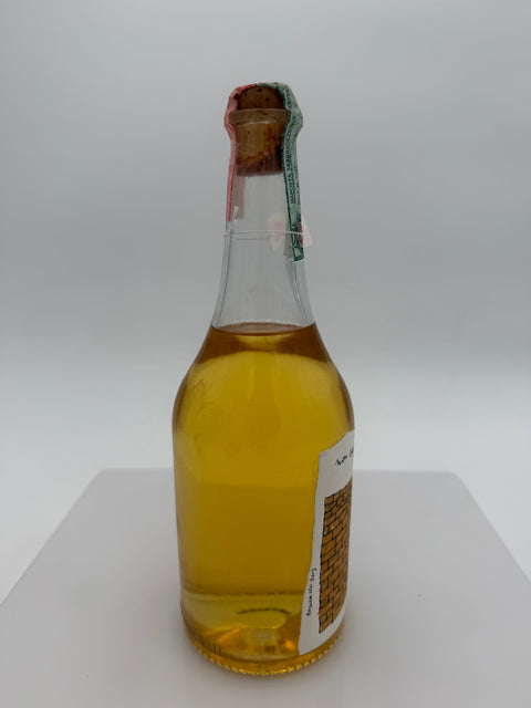 Grappa Romano Levi, Non Sappiamo, 2003, 228