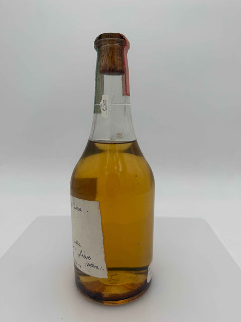 Grappa Romano Levi, Io voglio grappe la terra, 1994, 294