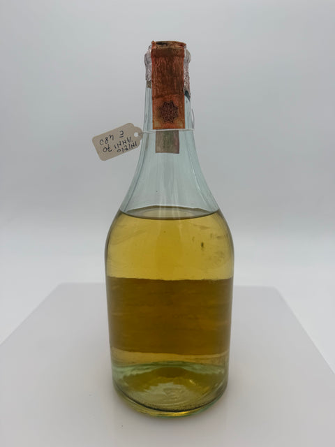 Grappa Romano Levi, Grappa della donna selvatica che scavalica le colline, 1970, 308