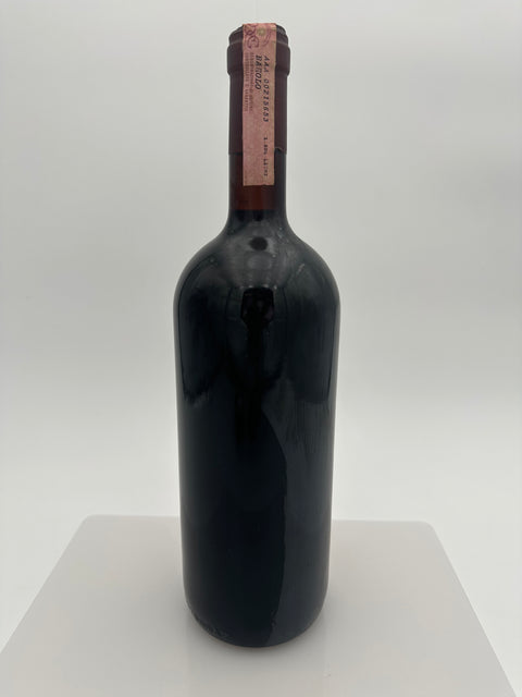 Magnum Ceretto, Bricco Rocche, Barolo Brunate 1993 - European Best Wine