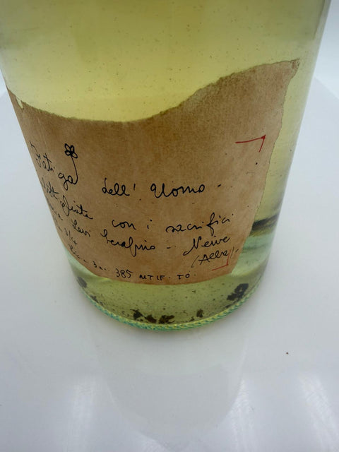 Grappa Romano Levi, di fatica dell uomo, 1981, 310